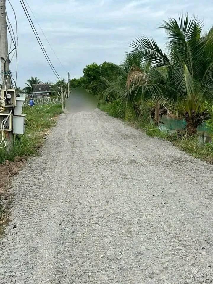 Bán đất trồng lúa xã Hoà Phú, huyện Châu Thành giá cực rẻ 1