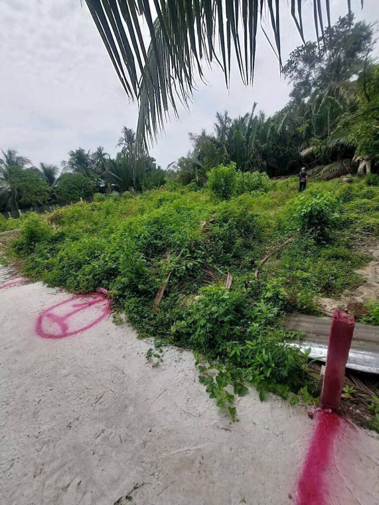 Bán đất xã Bình Lãng, huyện Tân Trụ giá quá rẻ chỉ 280 triệu 2